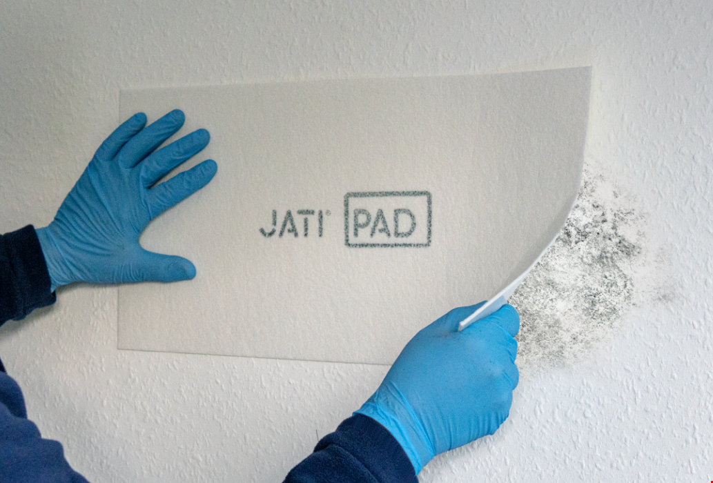 Innovation versus mould infestation - there can be only one winner!