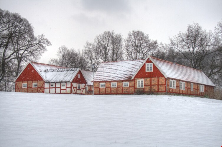 Dommages et risques causés par les températures hivernales