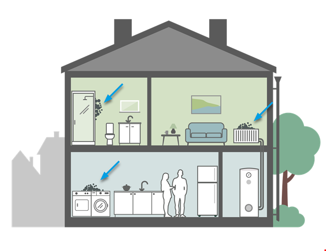 damp and mould monitoring 