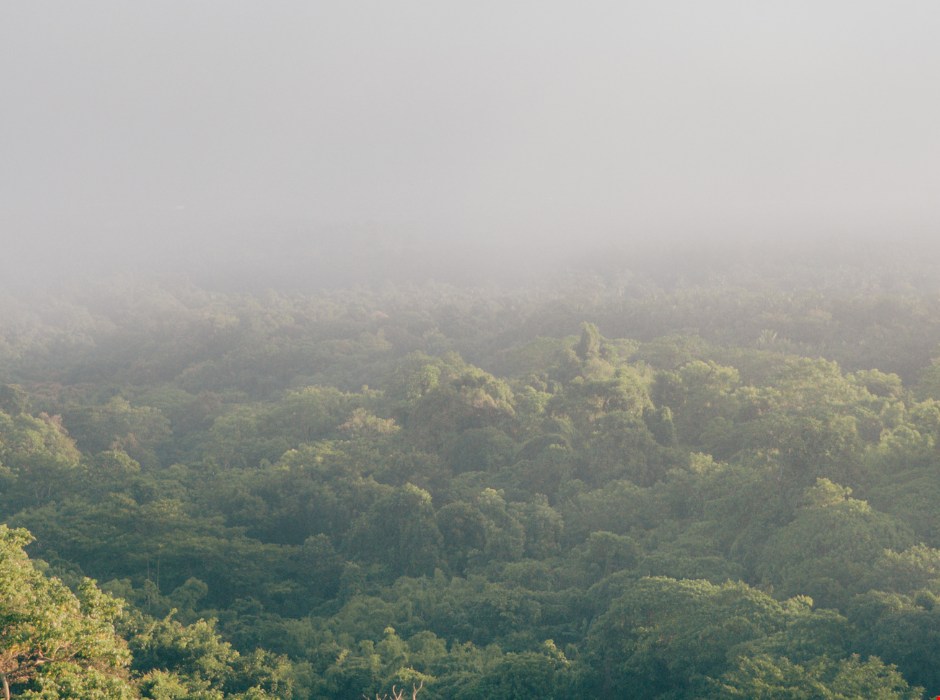 Helping the Damage Management Industry Tackle Sustainability 