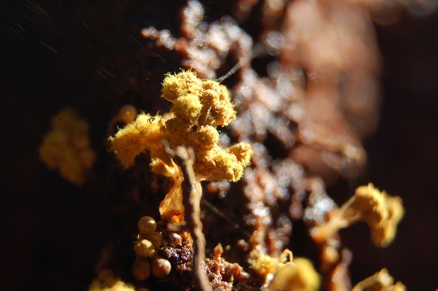 Educate Yourself: Mold Awareness Month