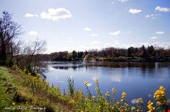 Mississippi River flood predictions