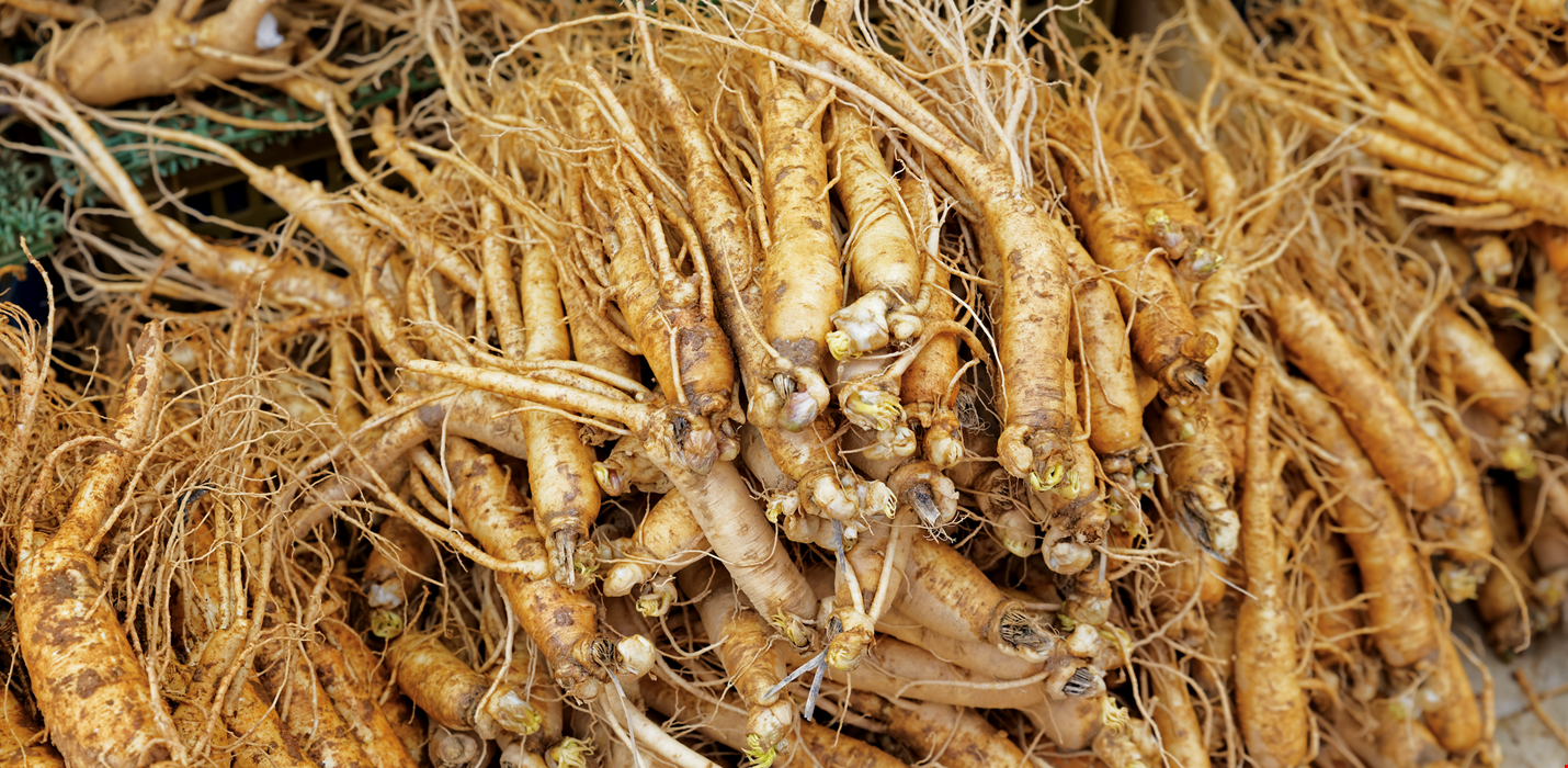 Growing Ginseng and Other Plants Indoors: The Role of Climate Control in Indoor Cultivation