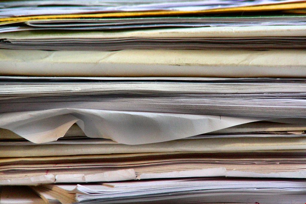 Why Does Mold Grow on Your Documents?