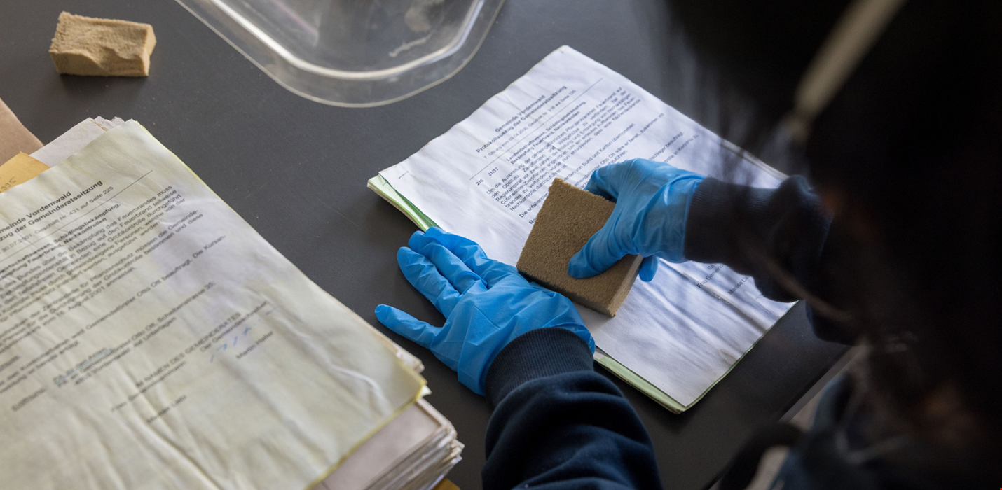 Document Restoration for Vellum and Parchment