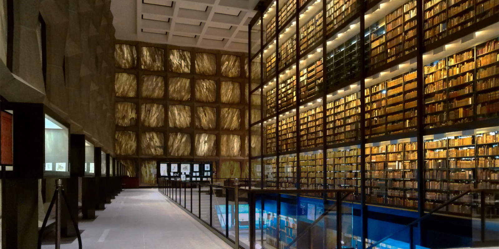 Library Yale.png