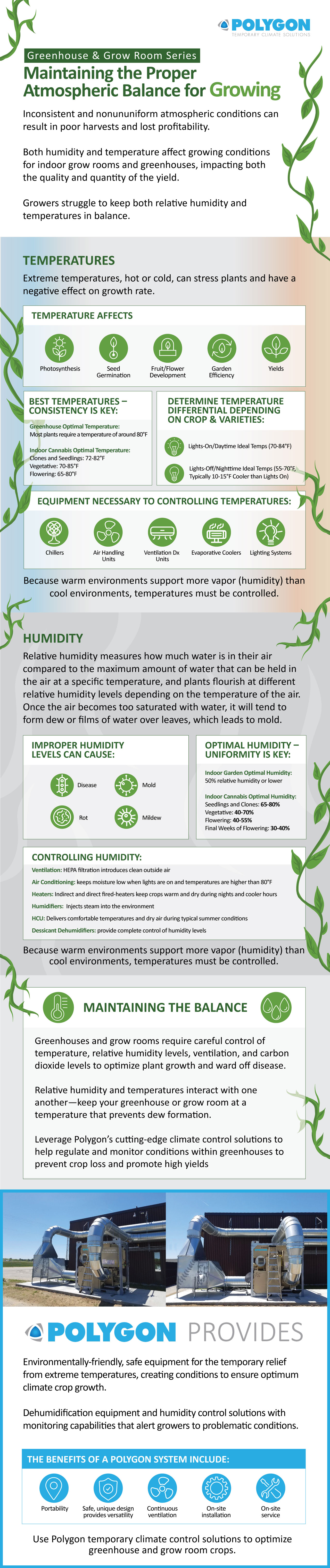 Infographic