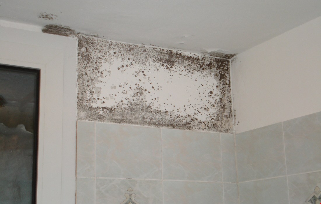 Schimmel in badkamer