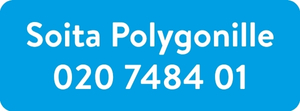 Soita Polygonille -painike.jpg
