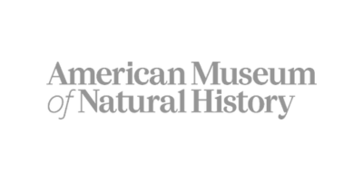 Social Proof -American Museum of Natural History.png
